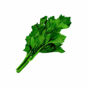 Apio rama