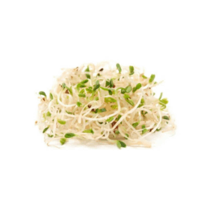 Brotes de alfalfa