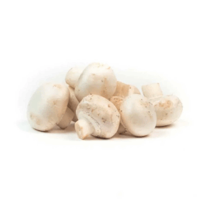 Champignon