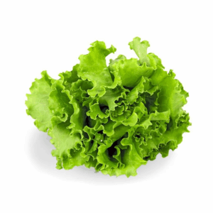 Lechuga crespa