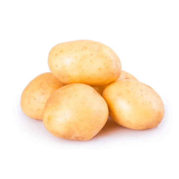 Papa blanca