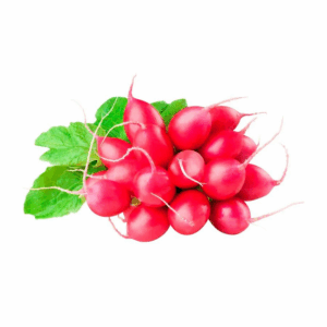 Rabanito